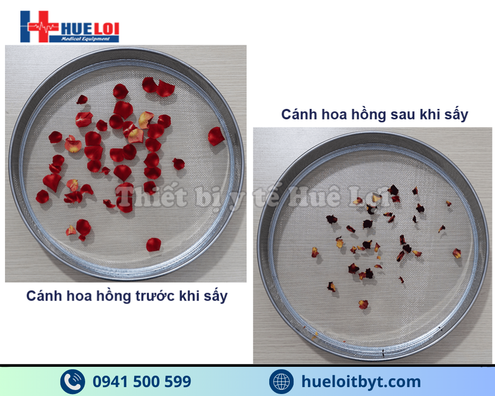 TỦ SẤY DƯỢC LIỆU 10 TẦNG