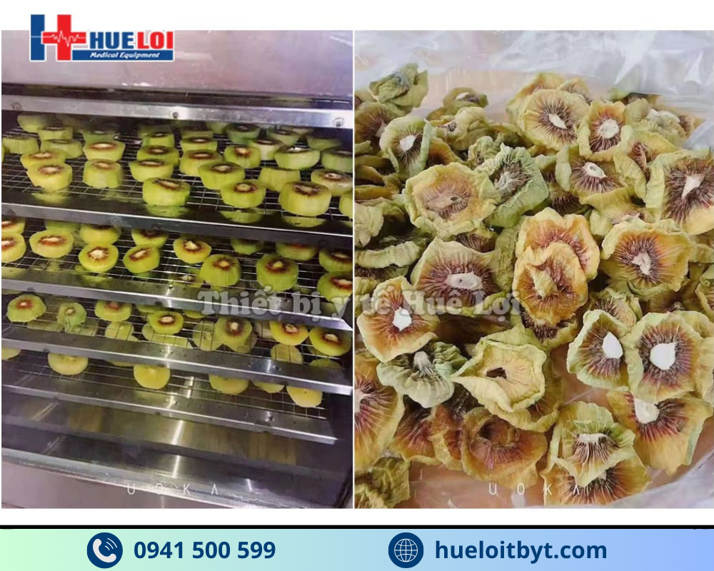 MÁY SẤY THUỐC ĐA NĂNG 12 TẦNG CHÍNH HÃNG