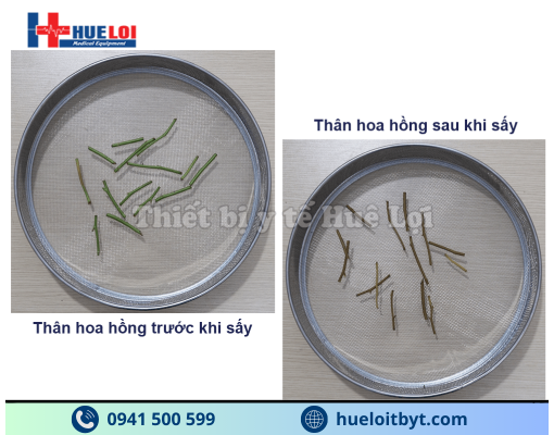 TỦ SẤY DƯỢC LIỆU 10 TẦNG