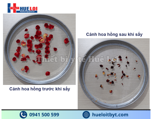 TỦ SẤY DƯỢC LIỆU 10 TẦNG