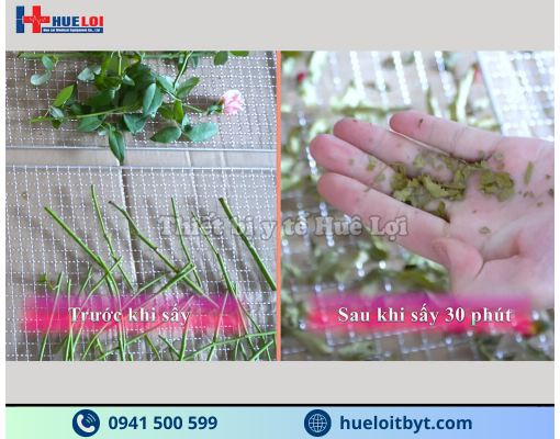 TỦ SẤY THUỐC ĐÔNG Y CAO CẤP 30 TẦNG